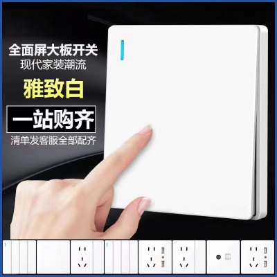 V2雅白开关