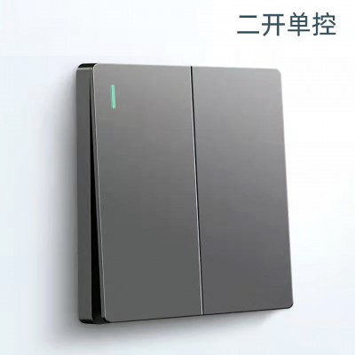 V2雅灰色开关